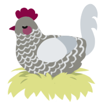 A ash and mist chicken with a lace pattern