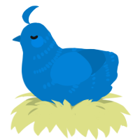 Sapphire, a sapphire chicken with a half-bar pattern