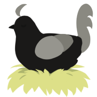 (unnamed), a sable and ash chicken