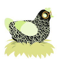 The Archivist, a black and apple chicken with a double-lace pattern