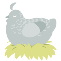 Forty Six n 2, a silver chicken with a half-lace pattern