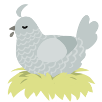 Reusable Straw, a silver chicken with a lace pattern