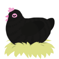 Dove, a sable and black chicken with a bar pattern