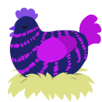 Black Hole, a navy and amethyst chicken with a bar pattern