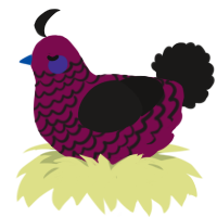 Blackberry, a wine and sable chicken with a lace pattern