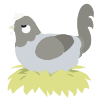 A mist and ash chicken with a head pattern
