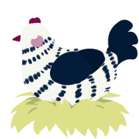 Blanc Snow, a white and tumblr chicken with a bar pattern