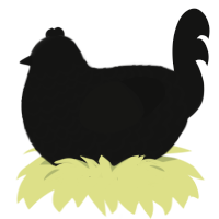 squid inky dinky, a black chicken with a lace pattern