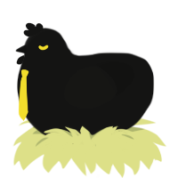 A black chicken