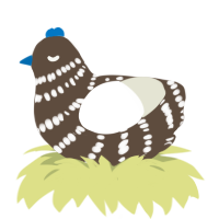 Chocolate Pie, a bark and white chicken with a bar pattern