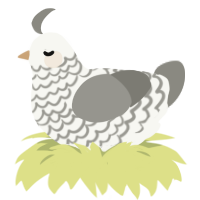 (unnamed), a white and ash chicken with a lace pattern