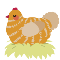 Sunny, a orange and beige chicken with a bar pattern