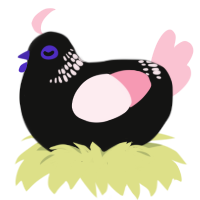 Cherry Tree, a black and rose chicken with a neck-band pattern