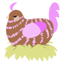 rose latte, a brown and lavender chicken with a bar pattern