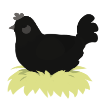 (unnamed), a black chicken with a head pattern