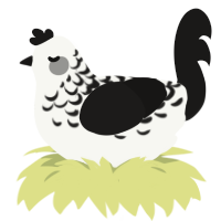 Sable Lace, a white and sable chicken with a half-lace pattern
