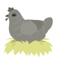 A ash chicken with a half-bar pattern