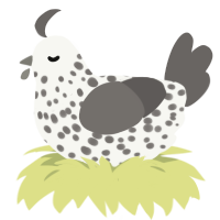Diorite, a white and grey chicken with a speckle pattern
