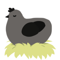 A grey and black chicken