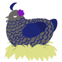 2time, a grey and navy chicken with a lace pattern
