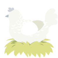 Spirit, a white chicken with a half-lace pattern