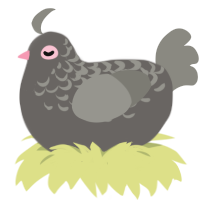 Perfect Pigeon, a grey and ash chicken with a half-lace pattern