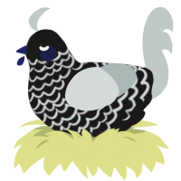 (unnamed), a sable and silver chicken with a lace pattern