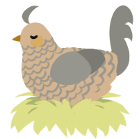 A beige and ash chicken with a lace pattern