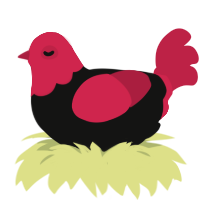 The Boiled One, a black and crimson chicken with a head pattern