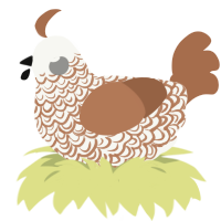 (unnamed), a white and brown chicken with a double-lace pattern