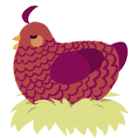 A red and wine chicken with a lace pattern