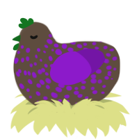 A bark and violet chicken with a speckle pattern