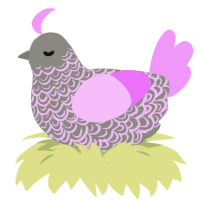 HEA, a ash and lavender chicken with a double-lace pattern