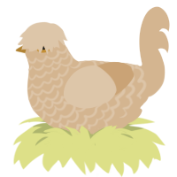 beige 3, a beige chicken with a lace pattern
