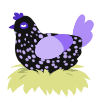 Glow Worm, a black and lilac chicken with a speckle pattern