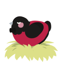 Mr 793, a crimson and sable chicken with a head pattern