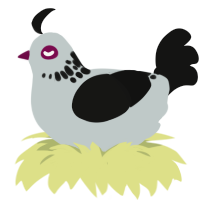 Ghost, a silver and black chicken with a neck-speckle pattern