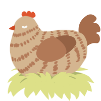 Bagel, a beige and brown chicken with a bar pattern