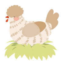(unnamed), a cream and beige chicken with a bar pattern