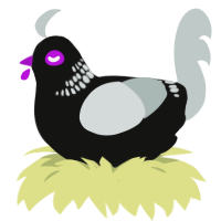 Ultra Rocky Road, a black and silver chicken with a neck-band pattern