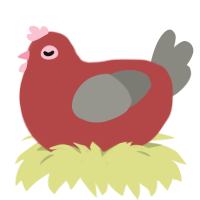 Hellen, a red and ash chicken