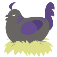 Seattle, a grey and overcast chicken with a neck-band pattern