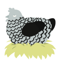 A silver and black chicken with a lace pattern