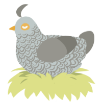 Sir Galahad, a silver and ash chicken with a double-lace pattern