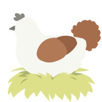 A white and brown chicken