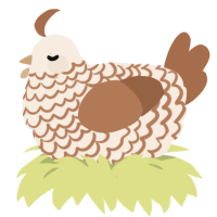 Tiramisu, a cream and brown chicken with a lace pattern