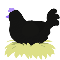 A black chicken with a lace pattern