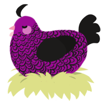 heart cookie, a plum and sable chicken with a double-lace pattern