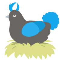 Rocket, a grey and sky chicken