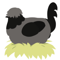 A grey and black chicken with a head pattern
